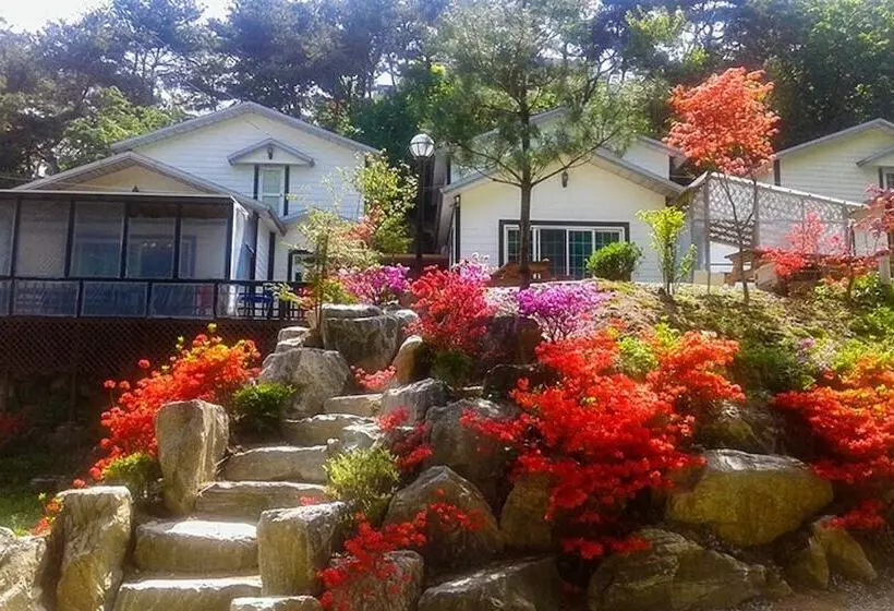 Yong Maple Pension