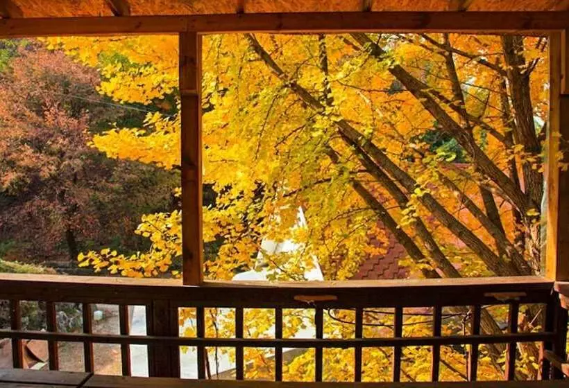 Yong Maple Pension