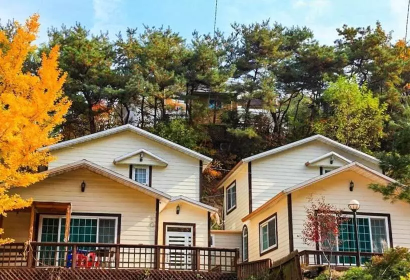 Yong Maple Pension