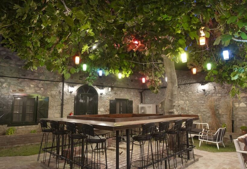 酒店 Avlulu Konak Kucukkoy