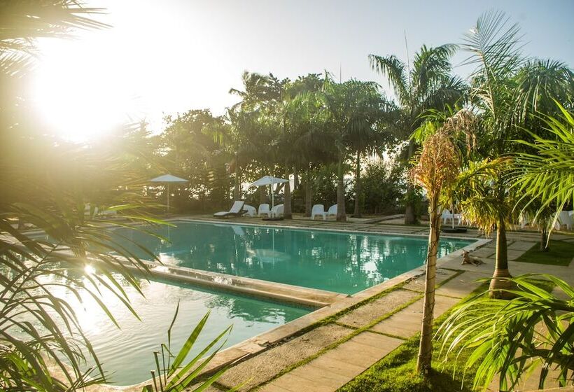 호텔 Coconut Paradise Beach