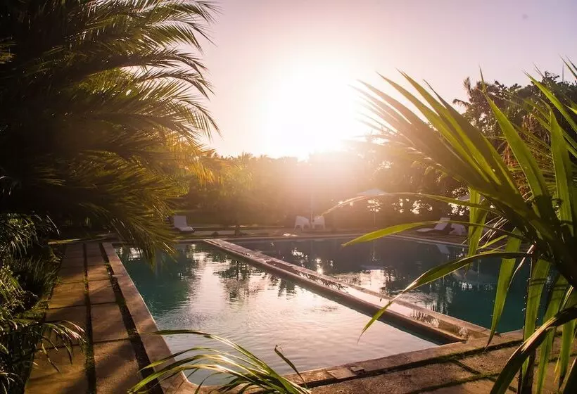 Hotelli Coconut Paradise Beach