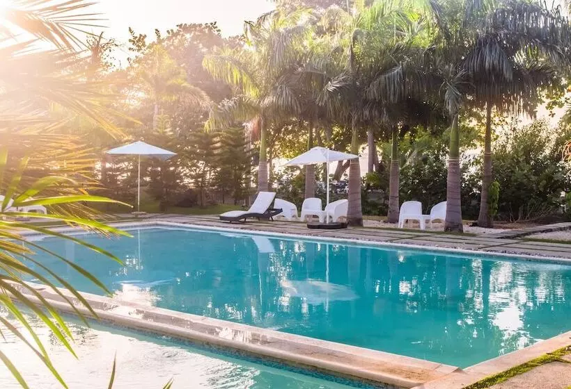 Hotelli Coconut Paradise Beach