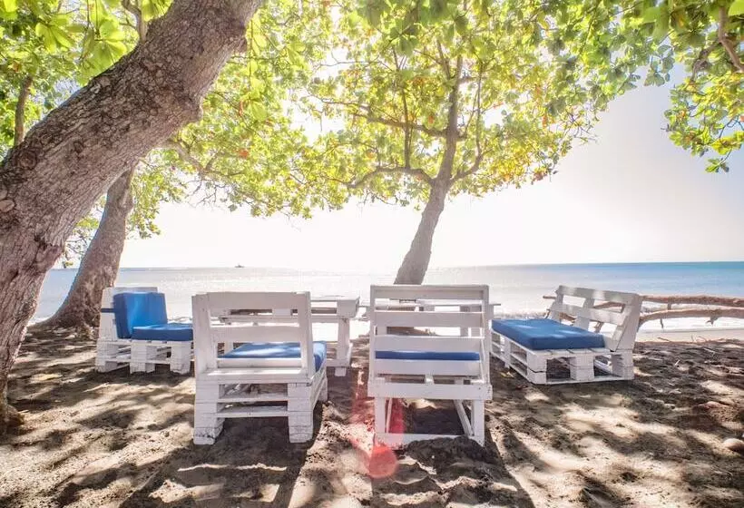 Hotelli Coconut Paradise Beach