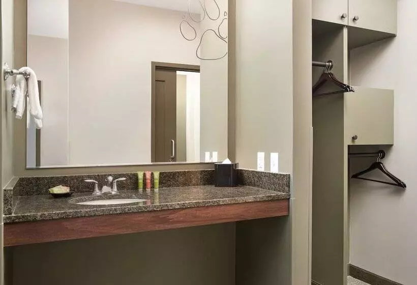 Hotelli Great Wolf Lodge Manteca