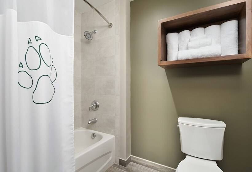 בית מלון כפרי Great Wolf Lodge Manteca