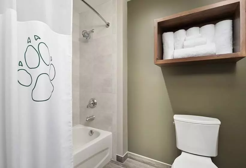 Hotelli Great Wolf Lodge Manteca