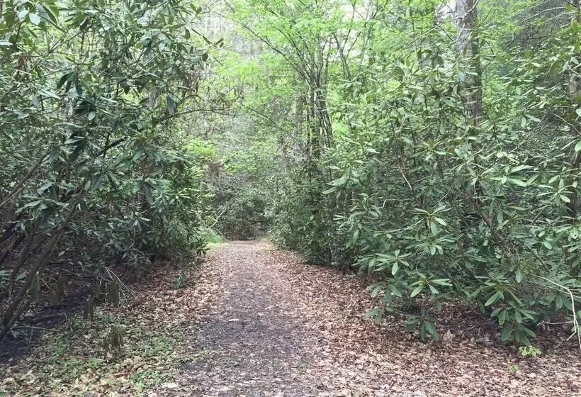 Kim S Cove Motorcycle Friendly Cabin Features Game Room By Redawning