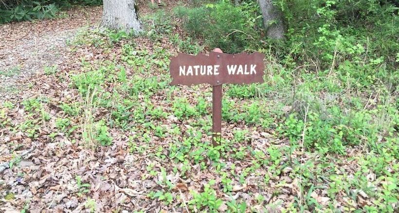 Kim S Cove Motorcycle Friendly Cabin Features Game Room By Redawning