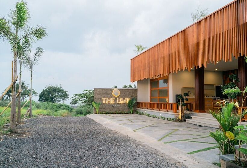 ペンション The Ume Cemagi