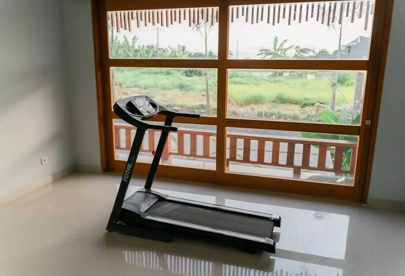 Majatalo The Ume Cemagi