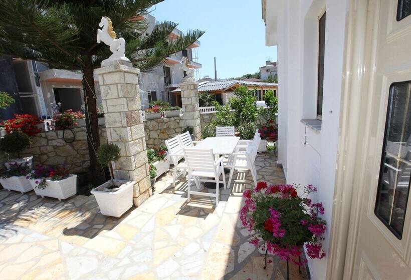 Пансион Vila Vasili