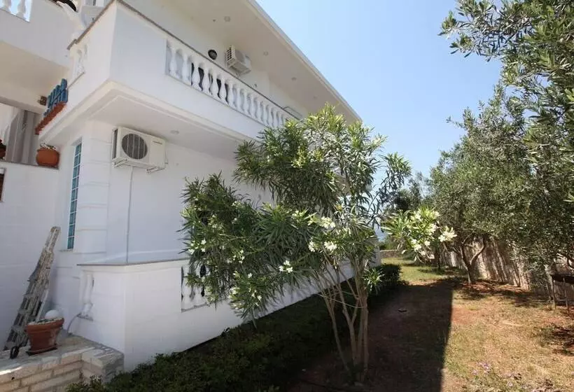 Majatalo Vila Vasili