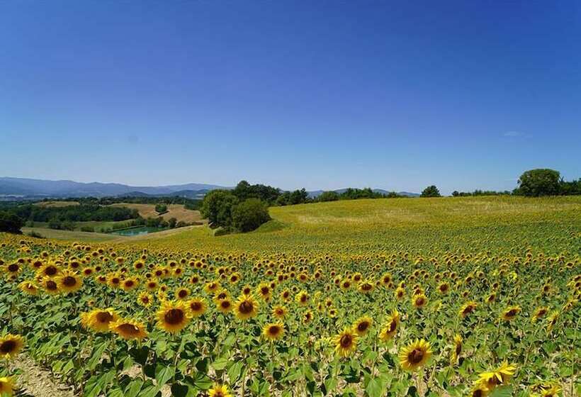 ベッドアンドブレックファースト Agriturismo Il Sarale   Umbria