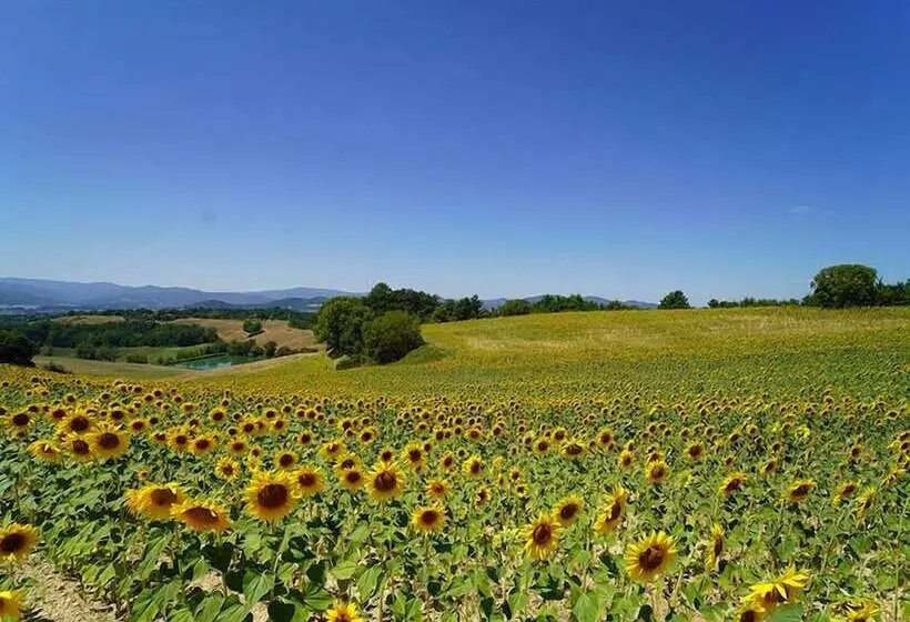 Aamiaismajoitus (B&B) Agriturismo Il Sarale   Umbria