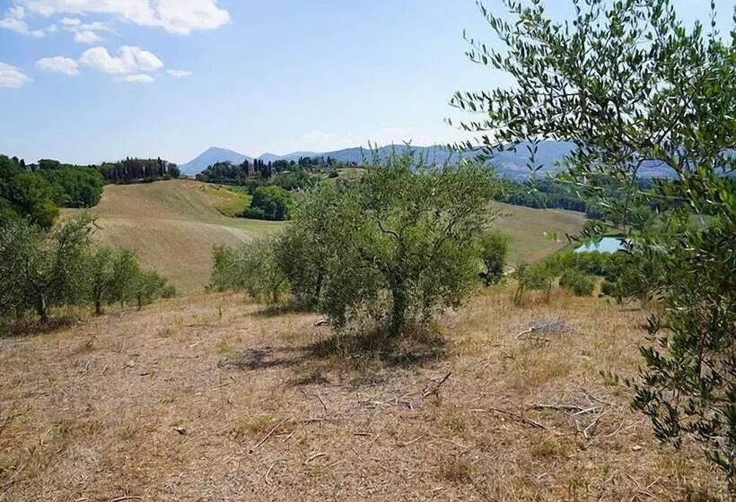 Aamiaismajoitus (B&B) Agriturismo Il Sarale   Umbria