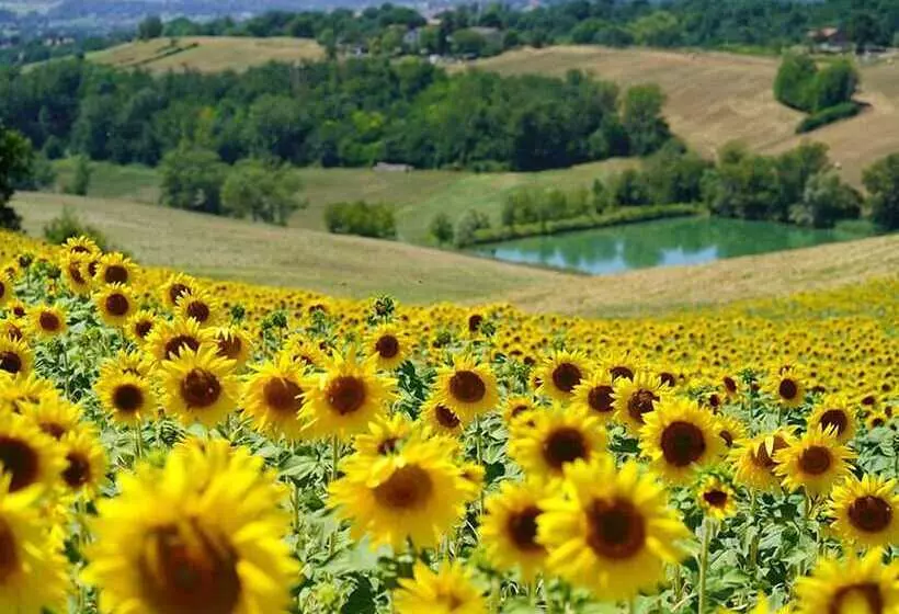 Aamiaismajoitus (B&B) Agriturismo Il Sarale   Umbria