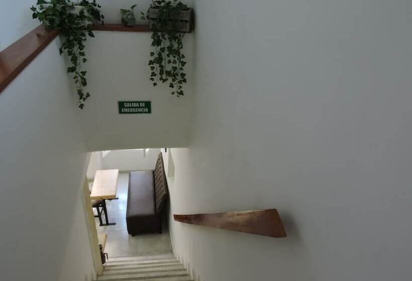 ベッドアンドブレックファースト Casa Biscanna