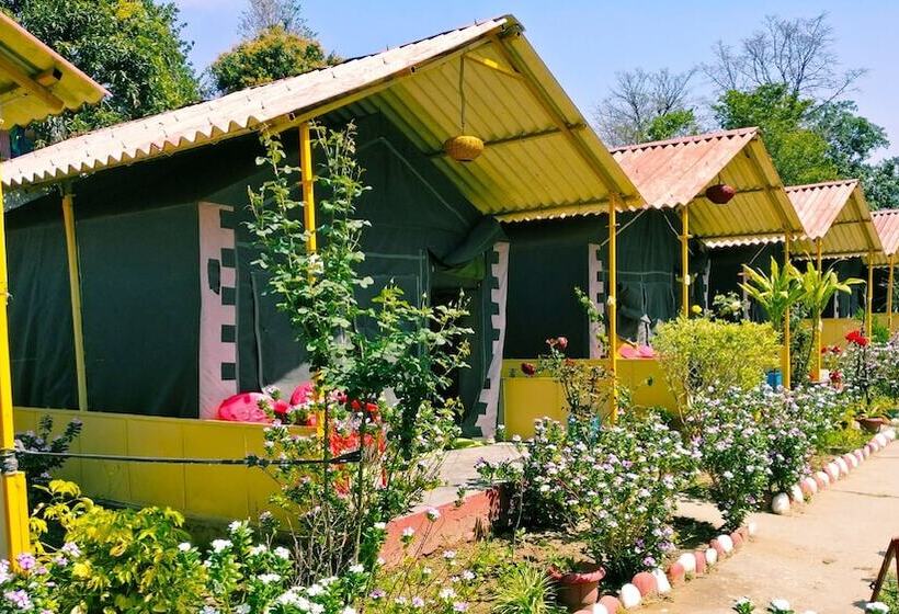 Отель Camp High 5 Jayalgarh