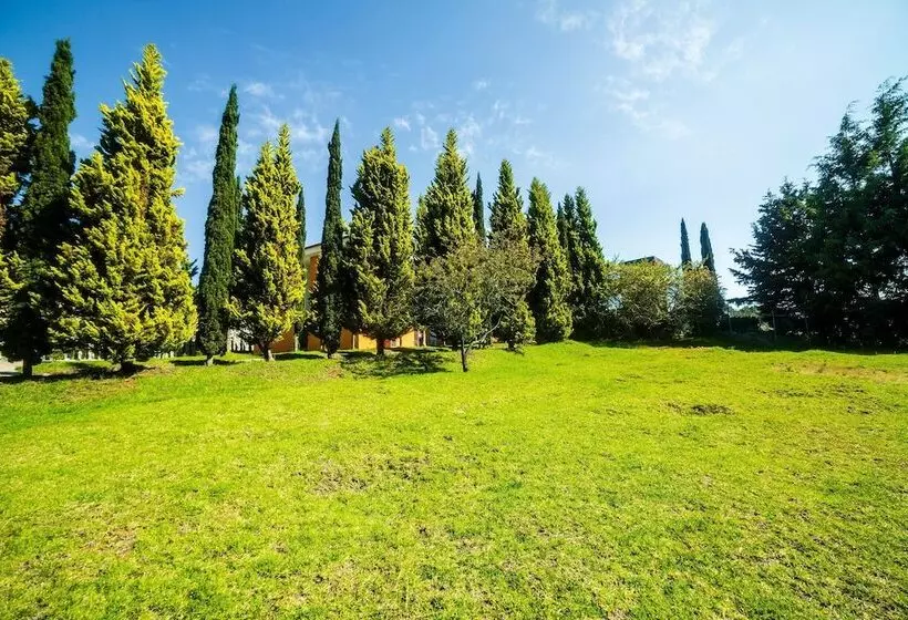 ホテル El Roble Resort