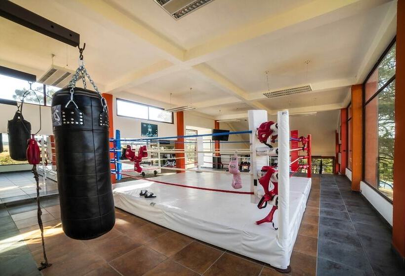 בית מלון כפרי El Roble Resort