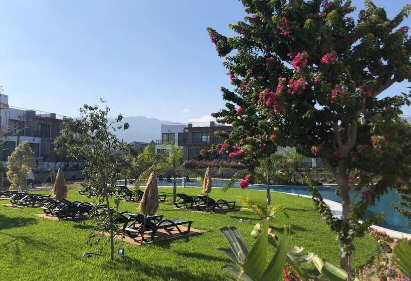 Отель Maldive Holiday Resort