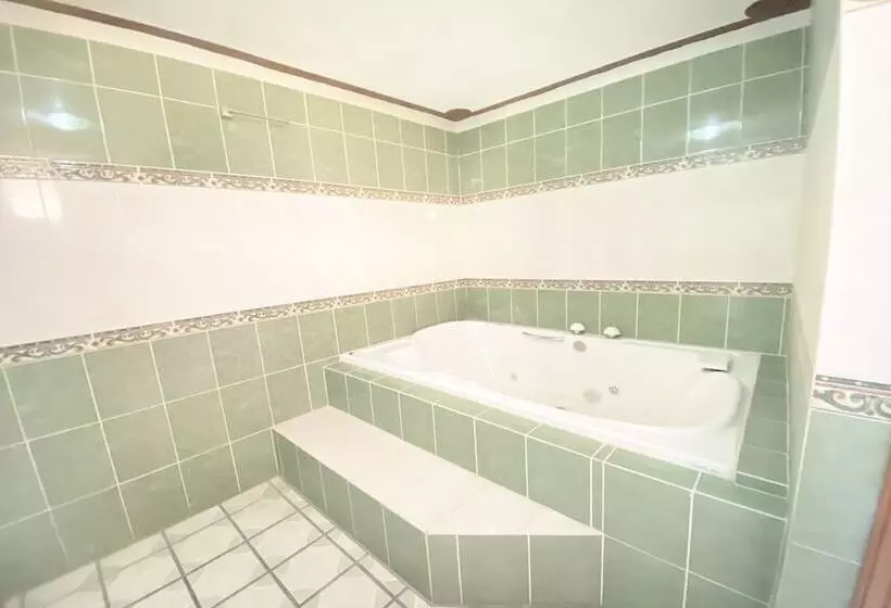 ホテル Mirador Amealco