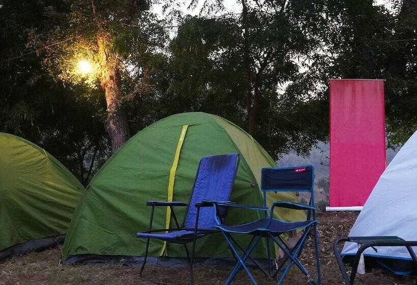 Hotel Moustache Kamp Kalakund