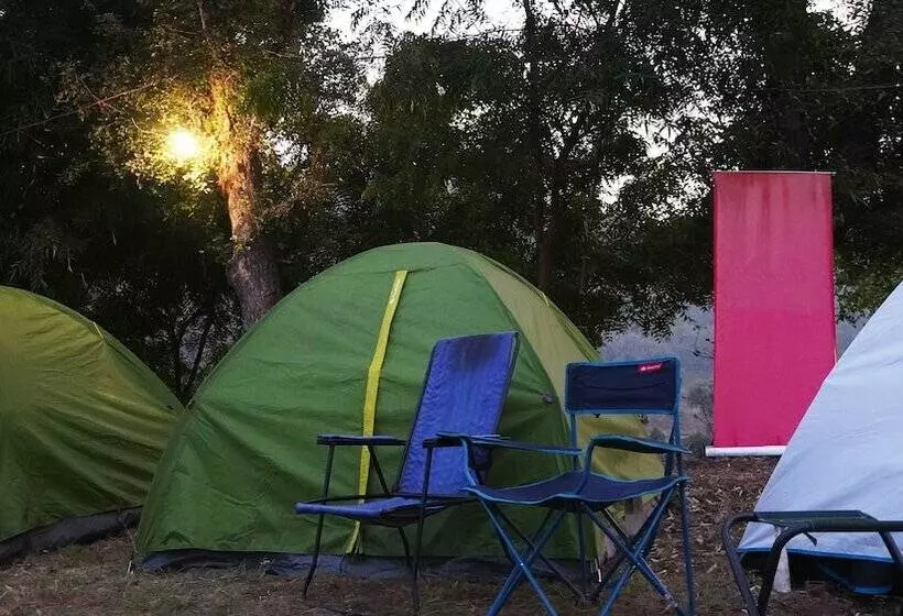 Hotelli Moustache Kamp Kalakund