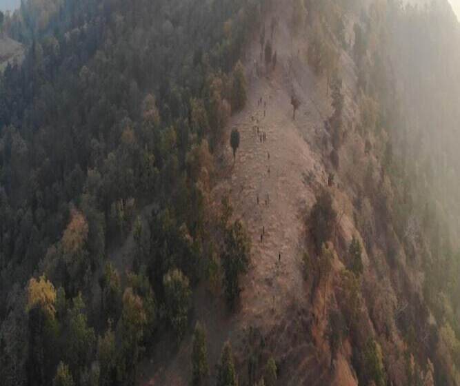 Hotel Moustache Kamp Kalakund