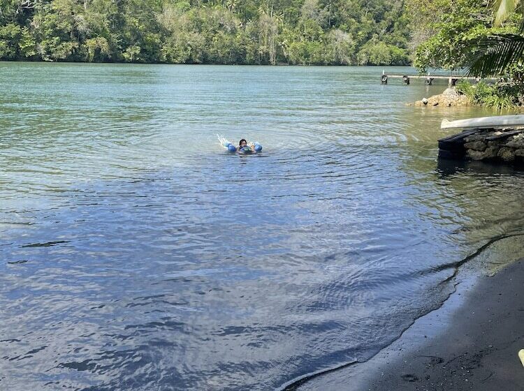 هتل Palmeras Del Río