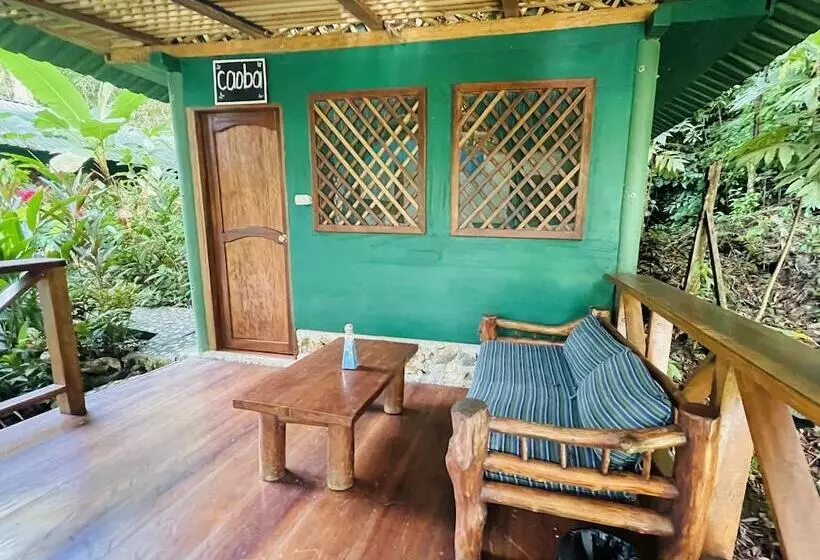 هتل Palmeras Del Río