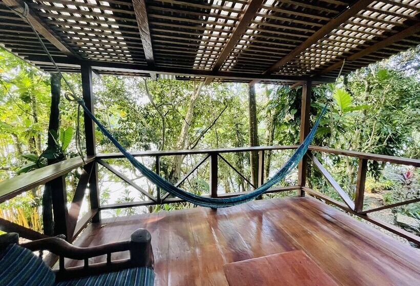 هتل Palmeras Del Río