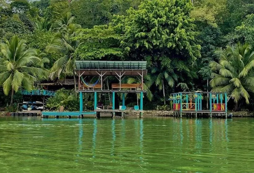 هتل Palmeras Del Río