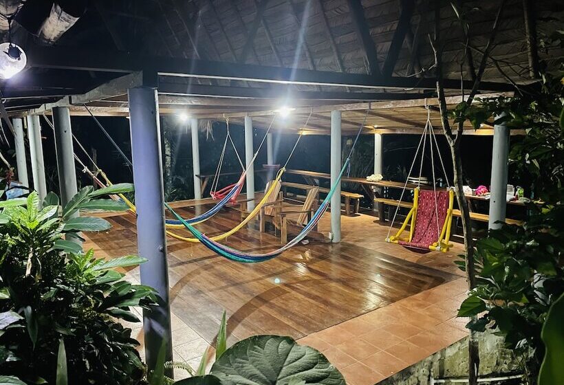 هتل Palmeras Del Río