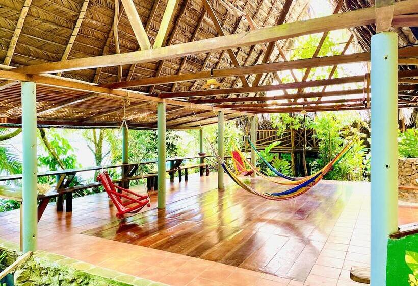 هتل Palmeras Del Río