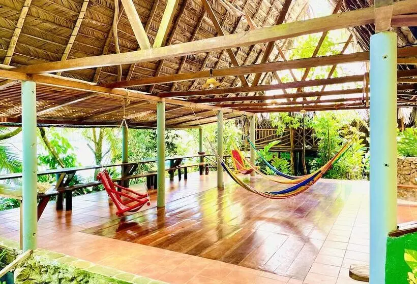 هتل Palmeras Del Río