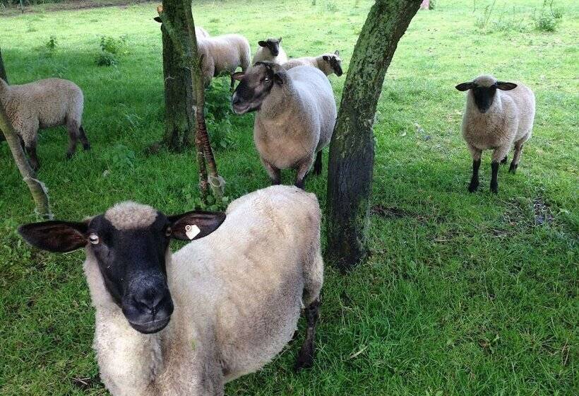 Schoenes Modernes Ferienhaus Am See