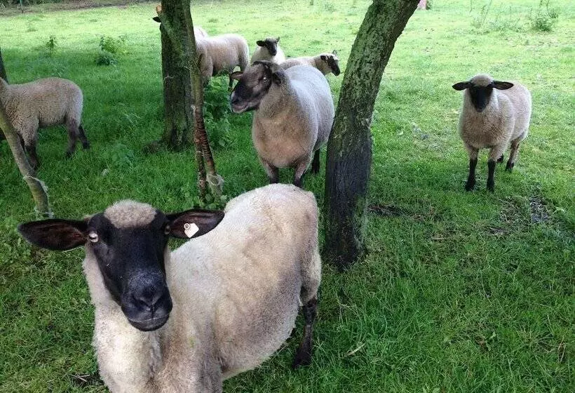 Schoenes Modernes Ferienhaus Am See