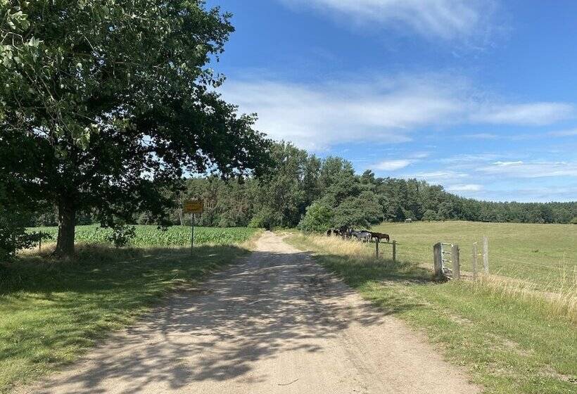 Schoenes Modernes Ferienhaus Am See