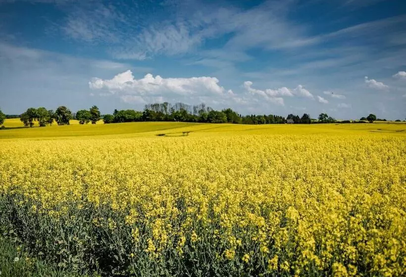 Schoenes Modernes Ferienhaus Am See
