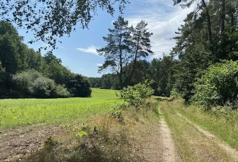 Schoenes Modernes Ferienhaus Am See