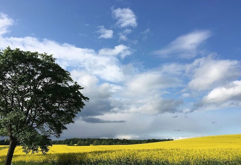 Schoenes Modernes Ferienhaus Am See