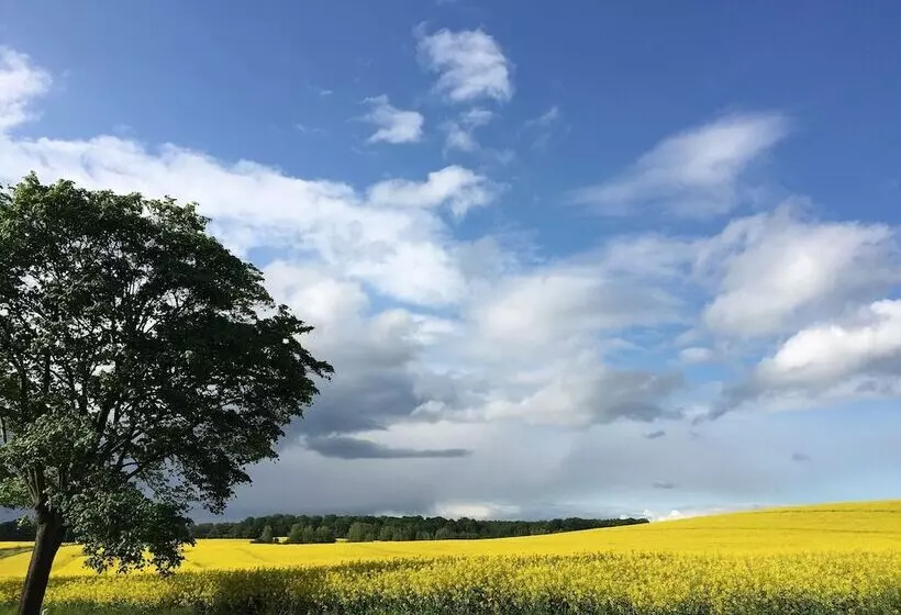 Schoenes Modernes Ferienhaus Am See