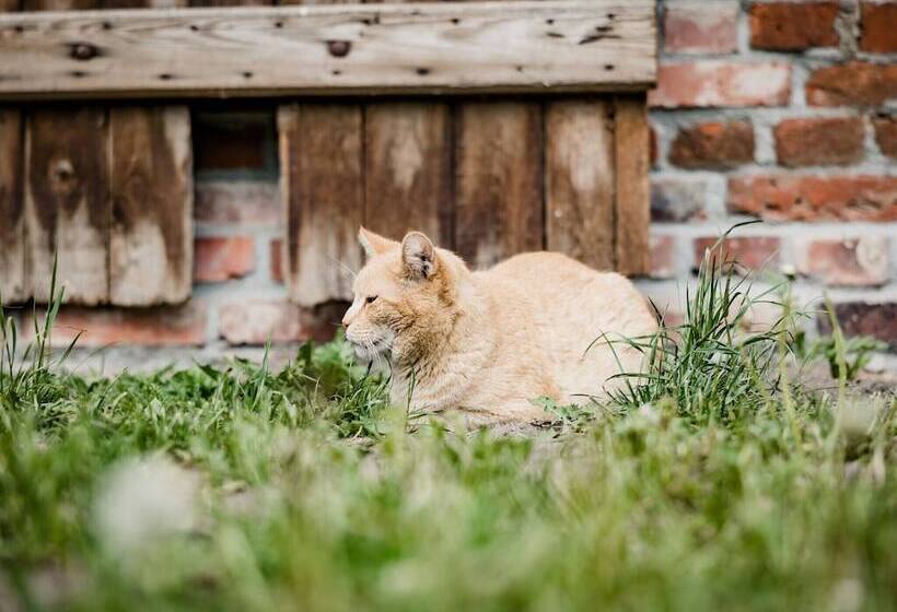 Schoenes Modernes Ferienhaus Am See
