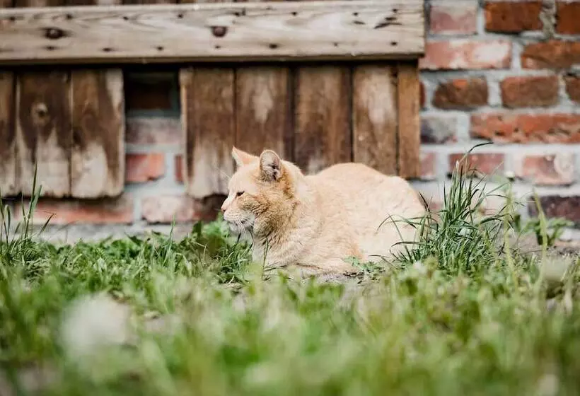 Schoenes Modernes Ferienhaus Am See