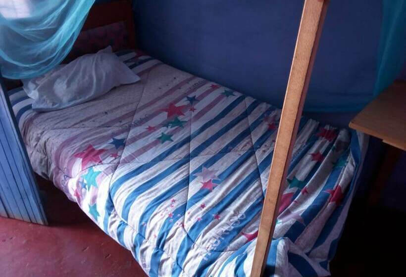 پانسیون Dreamland Guest House