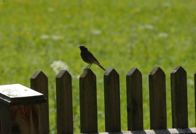 ペンション Hinterkellaubauer