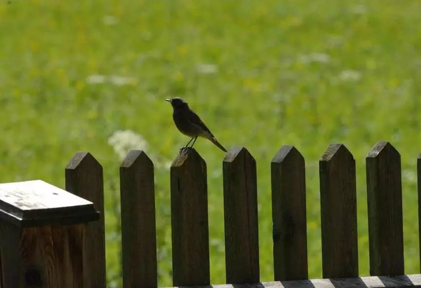 Majatalo Hinterkellaubauer