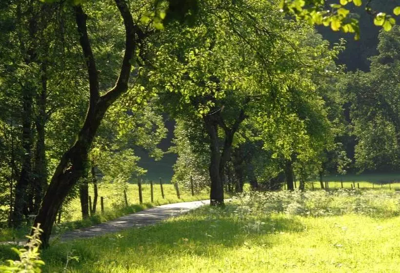 Majatalo Hinterkellaubauer